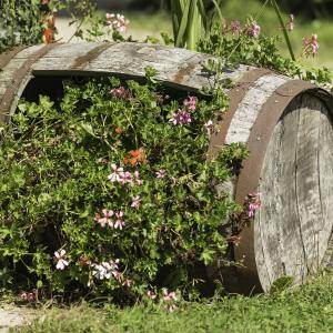 camping en pleine nature