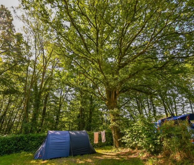 Camping en pleine nature dans le Morbihan
